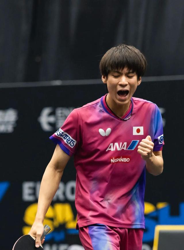 瑞典乒乓球队横扫波兰乒乓球队，水谷隼绝境逆转的简单介绍