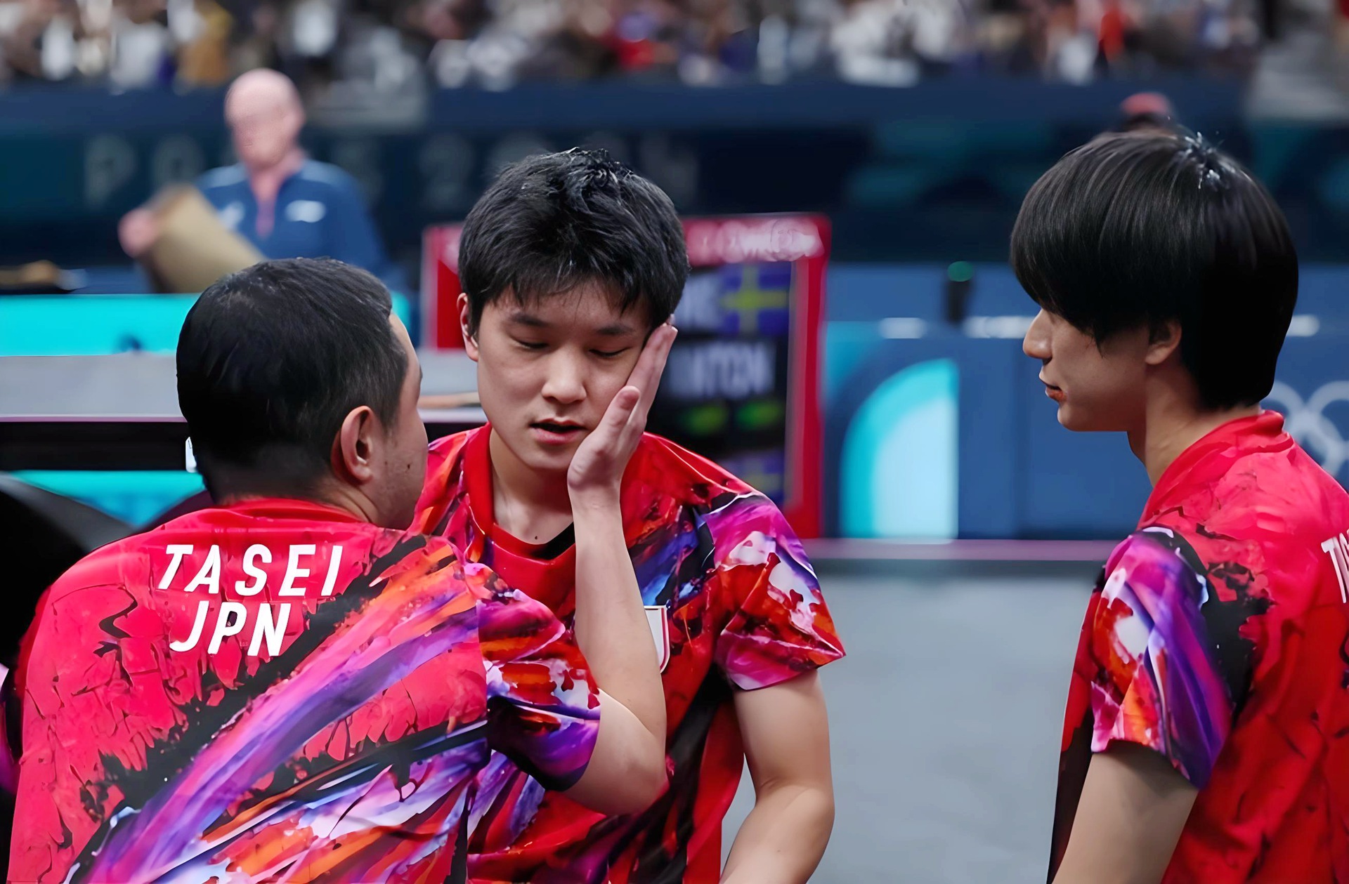 日本乒乓球队翻盘法国乒乓球队，波尔高光表现的简单介绍