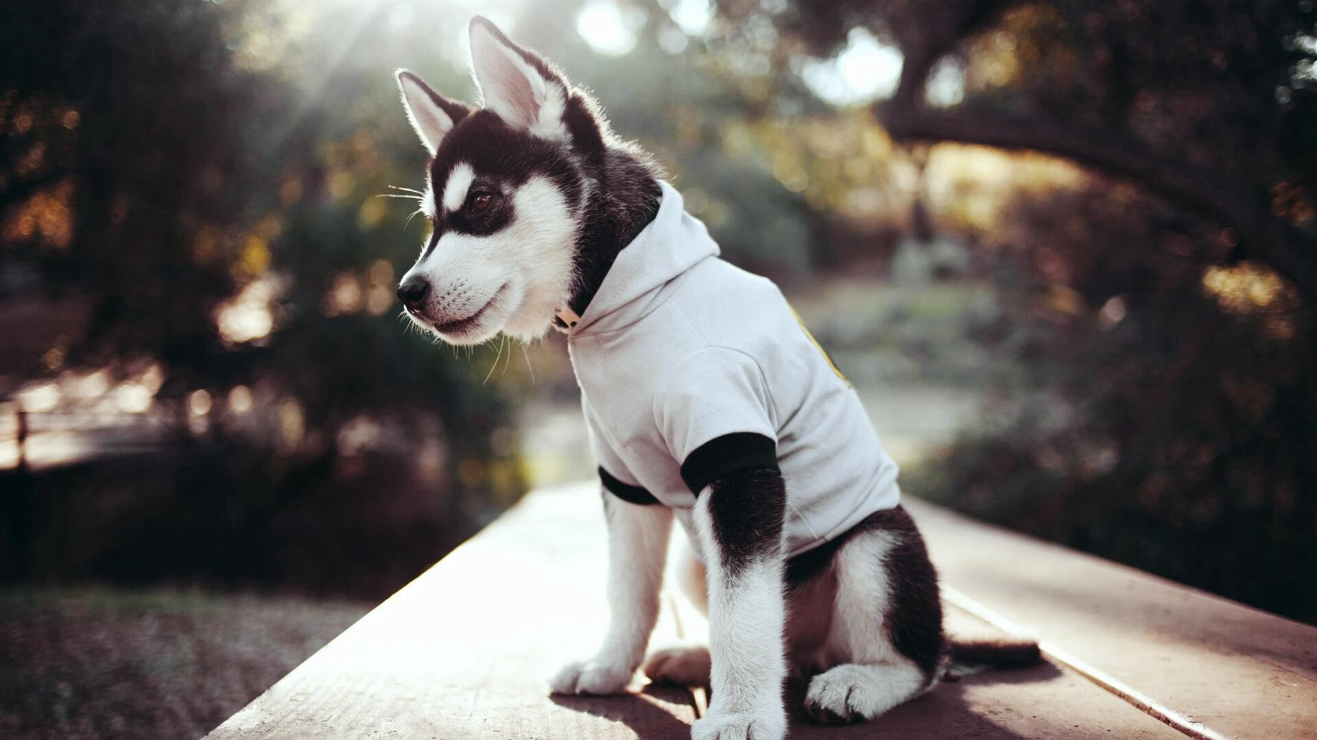 致命一击，杜兰特关键三分助马刺决胜局带走勇士