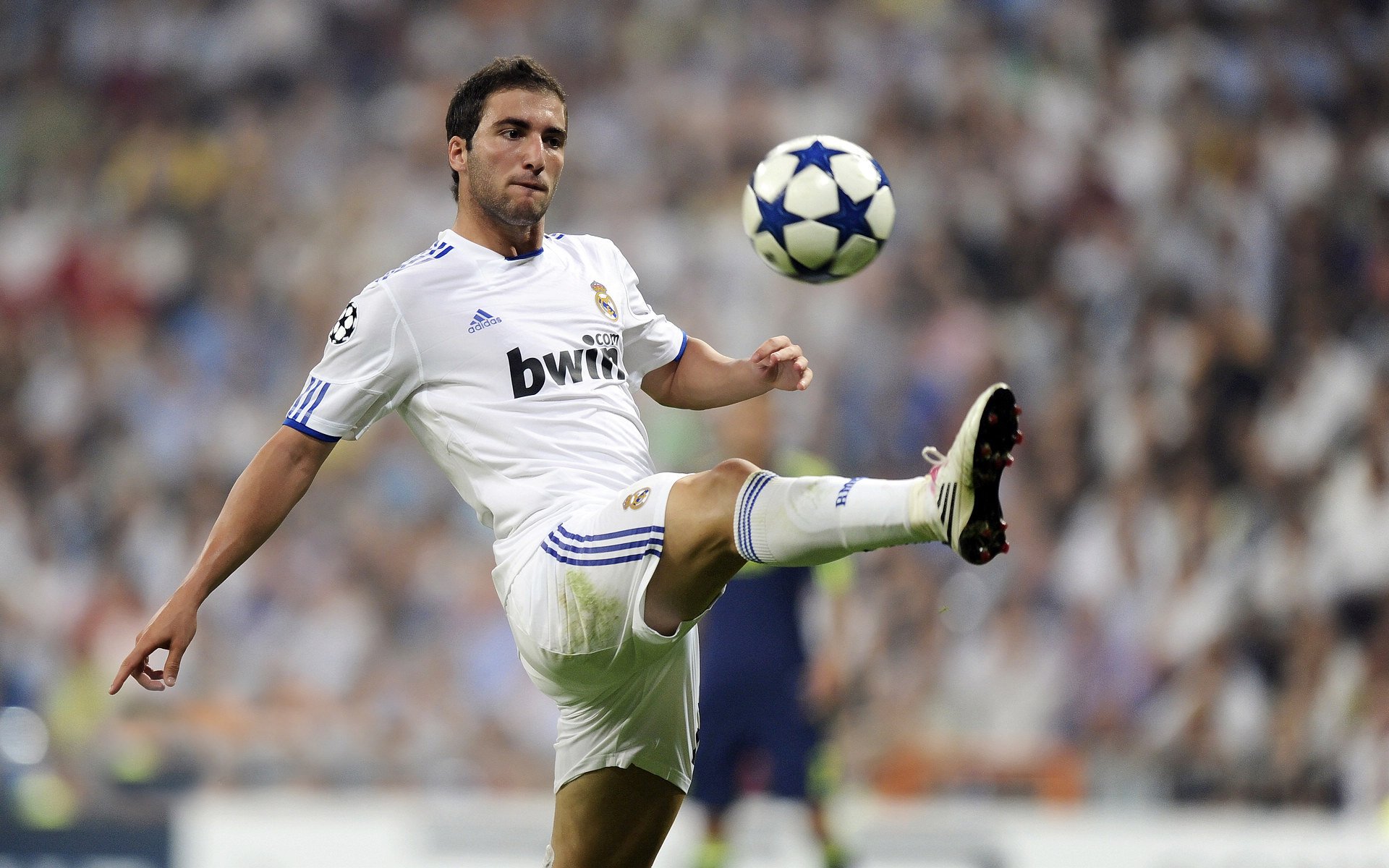 双城记,深圳的悬念与孟菲斯的接管